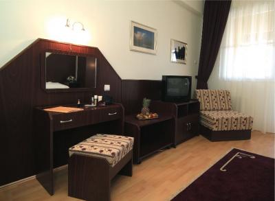 Kamer in het Centrum Hotel Debrecen - Centrum Hotel Debrecen - in de historische binnenstad van Debrecen