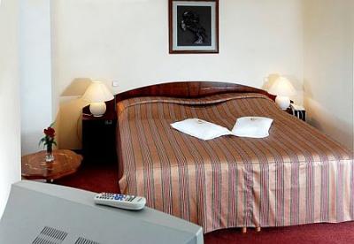 Elegante habitación doble en Bodrogi Kuria a precios de última hora - ✔️ Bodrogi Kúria**** Inárcs - Hotel Wellness  a precio favorable alrededor de la autopista M5 - cerca de Budapest