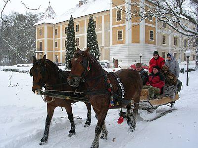 Programmes romantiques au Château hôtel Hedervar - traîneau à cheval - Hedervary Château Hôtel - Hongrie - Hedervár