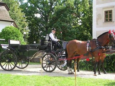 Hotel Castillo Hedervary - coche de caballos en el jardín del castillo - Hotel Palacio Hedervary - Hungría - Hedervar
