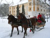 Romantische programmamogelijkheden in het viersterrren Kasteelhotel Hedervary in Hedervar, Hongarije - paardenslee