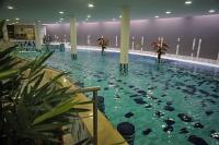 Wellness weekend în Balaton în Hotel CE Plaza Siofok cu tratamente wellness