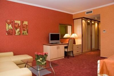 4* Bonita habitación de hotel en Cserkeszolo en el Aqua Spa Hotel - ✔️ Aqua Spa Hotel**** Cserkeszőlő - Hotel en Cserkeszolo con una propia piscina de bienestar
