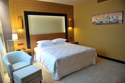 Hotel Sheraton cameră cu pat dublu în Kecskemet - ✔️ Sheraton Hotel**** Kecskemet - Four Points by Sheraton Kecskemet Hotel la preţ introductiv