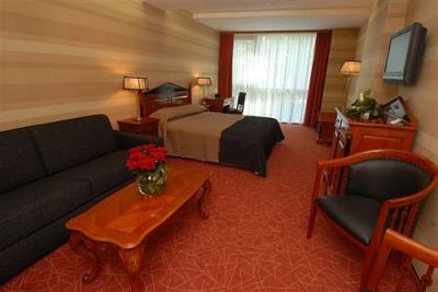 Camera doppia di lusso nell'hotel 5* Divinus a Debrecen - ✔️ Hotel Divinus***** Debrecen - benessere e riposo a Debrecen