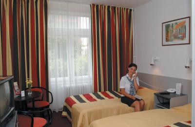 Kamer in Hotel Griff - Hotel Griff Budapest*** - Hotel Griff Boedapest, driesterren hotel op de Bartok Bela straat in Boeda