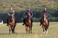 Cavalcata in Ungheria - servizi equestri vicino all'Hotel Lover - vacanze attive a Sopron