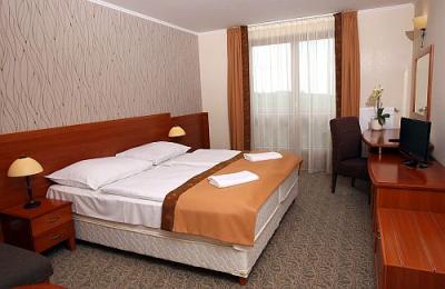 Hotel de 4 stele în Matraszentimre - Cameră dublă în Hotel Narad Park  - ✔️ Hotel Narád Park**** Mátraszentimre - Hotel ieftin de wellness în Matraszentimre