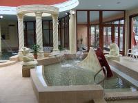 Area wellness dell'Hotel Narad Park - piscine e saune a Matraszentimre