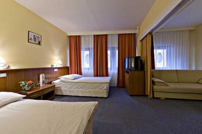 Hotel Palatinus - 3-4 osobowe apartamenty w centrum miasta Sopron, Węgry - ✔️ Hotel Palatinus Sopron - Niedrogi hotel w centrum miasta Sopron, Węgry