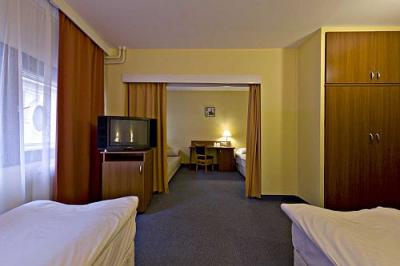 Palatinus Hotel - Niedrogi partamenty w Sopron, mieście Festywalu VOLT - ✔️ Hotel Palatinus Sopron - Niedrogi hotel w centrum miasta Sopron, Węgry