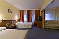 Hotel Palatinus - appartementen voor 3-4 personen in het Palatinus Pension in de binnenstad van Sopron, Hongarije