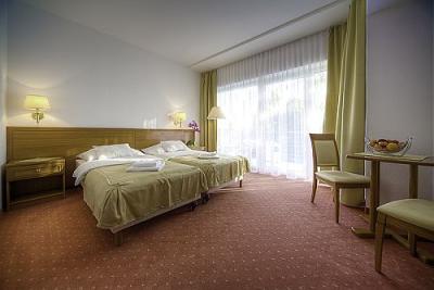 Camera doppia accogliente al Hotel di wellness Ket Korona - hotel a 4 stelle a Balatonszarszo - ✔️ Hotel Két Korona**** Balatonszarszo - Wellness Hotel - Lago Balaton