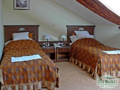 Cameră cu două paturi - Oreg Miskolcz Hotel - Oreg Miskolcz Hotel - În centrul oraşului Miskolc, Ungaria