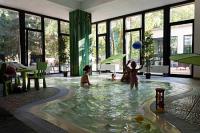Oxigen ZEN Spa Hotel in Noszvaj - детский бассейн
