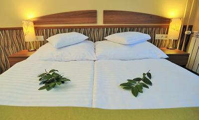 Hotel Park Gyula in Gyula with discount online booking - ✔️ Hotel Park*** Gyula - discount half-board Park Hotel in Gyula