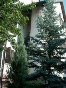 Room in Buda in the 22nd district - Room in Buda - Accommodation in the green area of Budapest