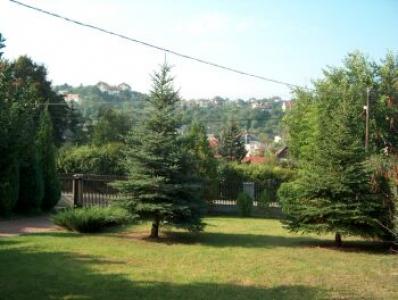 Garden in Buda, Room in Buda, with good public transportation,  - Room in Buda - Accommodation in the green area of Budapest