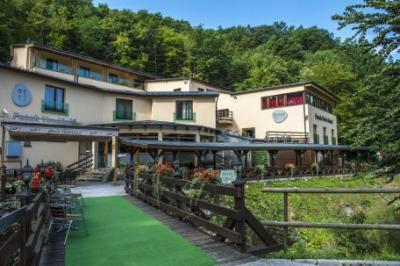 Patak Park Hotel Visegrad -  beautiful discount hotel with panorama in Visegrad - ✔️ Patak Park Hotel*** Visegrád - Discount Patak Park Hotel in Visegrad with forest und Danube panorama!
