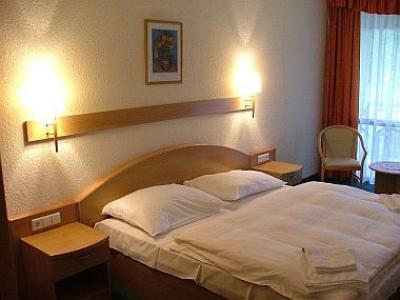 4-Sterne-Hotel in Ungarn - Bequemes Zweibettzimmer in Mezökövesd, im Zsory Hotel Fit - ✔️ Zsóry Hotel Fit**** Mezőkövesd - Wellnesshotel in Mezökövesd