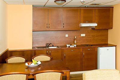 Airport Hotel Apartman 4* hotel op de luchthaven Liszt Ferenc - ✔️ Airport Hotel Budapest**** - Korting Hotel met gratis transport vanaf het vliegveld