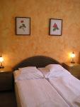 Hotel room at favourable price in Budakeszi in Wellness Hotel Aqua