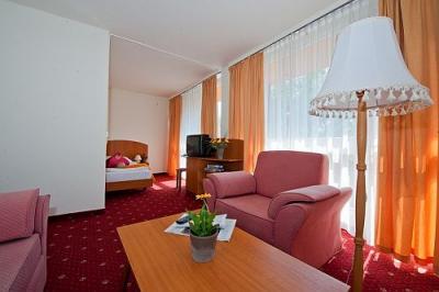 Cheap accommodation in Hotel Napfeny in Balatonlelle - Napfeny Hotel Balatonlelle - hotel in Balatonlelle with half board offers