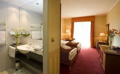 Double room in Balneo Hotel Zsori Thermal and Wellness Hotel - Balneo Hotel*** Zsori Mezokovesd - Zsory Thermal Wellness Hotel Mezokovesd