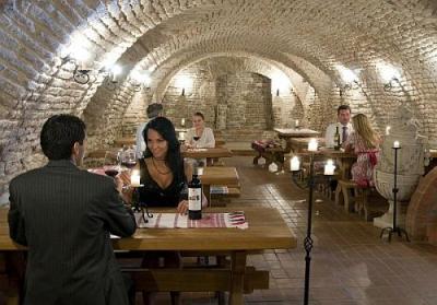 Winecellar with wine tasting - Castle Hotel Hedervar Hungary - Hedervary Castle Hotel - Hedervar - Hungary