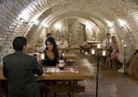 Winecellar with wine tasting - Castle Hotel Hedervar Hungary