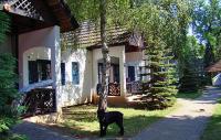 Bungalow Vin-B au Club Tihany - Club Tihany bungalows - Lac Balaton