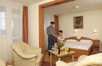 Chambre - Wellness Hôtel Eger Park - Eger Park Hotel - Wellness & Conference Hotel Eger Park - Eger  - Hotel Eger**** Park Eger - hôtel bien-être à Eger, Hongrie