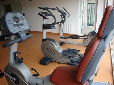 Hotel Szepia Bio Art **** Zsambek - La sala de fitness del Hotel Szepia en Hungria - ✔️ Szépia Bio Art Wellness Hotel**** Zsámbék - habitación con servicios de wellnes a precio favorable