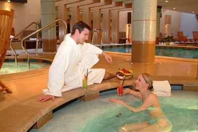 Hotel Fagus, wellness weekend in Sopron at excellent prices - Hotel Fagus Sopron**** - Conference and wellness hotel in Sopron