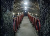 Wine cellar in Hunguest Hotel Flora Eger - good wine