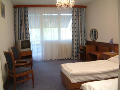 Piramis Hotel Gardony - ツインルーム -  Piramis Hotel Gardony in Gardony - ホテルガールドニュ ガールドニュ