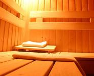 Sauna im Hotel Gastland M1 in Paty bei der Autobahn M1