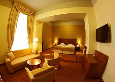 Mercure Hotel Magyar Kiraly Szekesfehervar - pokój w centrum miasta - ✔️ Mercure Hotel Magyar Kiraly**** Szekesfehervar - Niedrogi hotel czterogwiazdkowy w Szekesfehervar, Węgry