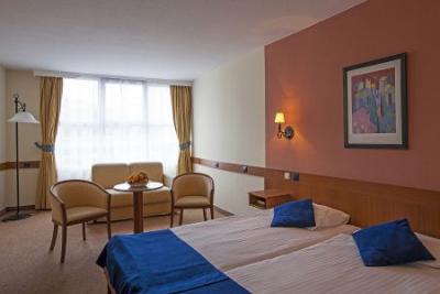 Hotel 4 stelle a Buda dirimpetto a Novotel Budapest Congress - Hotel Mediterran**** Budapest - Budapest hotel