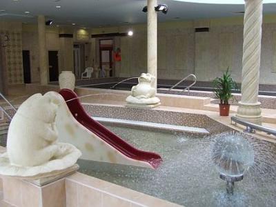 Piscina per bambini all'hotel di wellness Narad Park - fine settimana benessere a Matraszentimre - ✔️ Hotel Narád Park**** Mátraszentimre - albergo e centro benessere a Matraszentimre