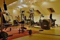 Hotell Palace Heviz - fitness lokal i Heviz