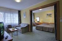 Raba Hotel Gyor Hungary - Gyor - Raba Apartment - Hotel in the centre of Gyor