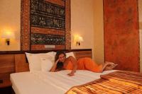 Meses Shiraz Hotel - hotel room at discount price with half board in Egerszalok