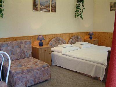 Hotel Vonyarc in Vonyarcvashegy - hotel at Lake Balaton - Vonyarc Hotel Vonyarcvashegy - cheap accommodation in Balaton