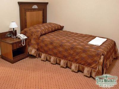 Cameră cu un singur pat în hotelul de trei stele în Miskolc - Oreg Miskolcz Hotel - Oreg Miskolcz Hotel - În centrul oraşului Miskolc, Ungaria