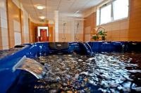 Wellness Hotel Panorama Bekescsaba - Jacuzzi