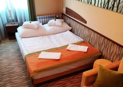 Park Hotel Gyula - beschikbare kamer met twee aparte bedden en met online boeken tegen goedkope prijzen - ✔️ Hotel Park*** Gyula - Hotel Park met halfpension voor actieprijzen in Gyula, Hongarije