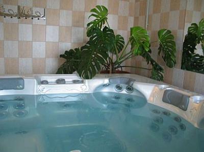 Jacuzzi în Pensiunea Laguna Mogyorod - Laguna Pension Mogyorod