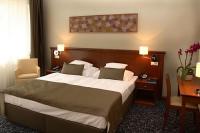 4* Hotel Saliris dubbele hotelkamer nabij de beroemde zoutheuvel