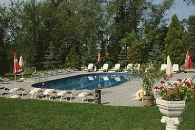 Piscine en plain à l'Hotel-chateau Szent Hubertus Kastelyszallo à Sobor - Hongrie - Hotel Chateau Saint Hubert - la perle 3 étoiles de  à Sobor